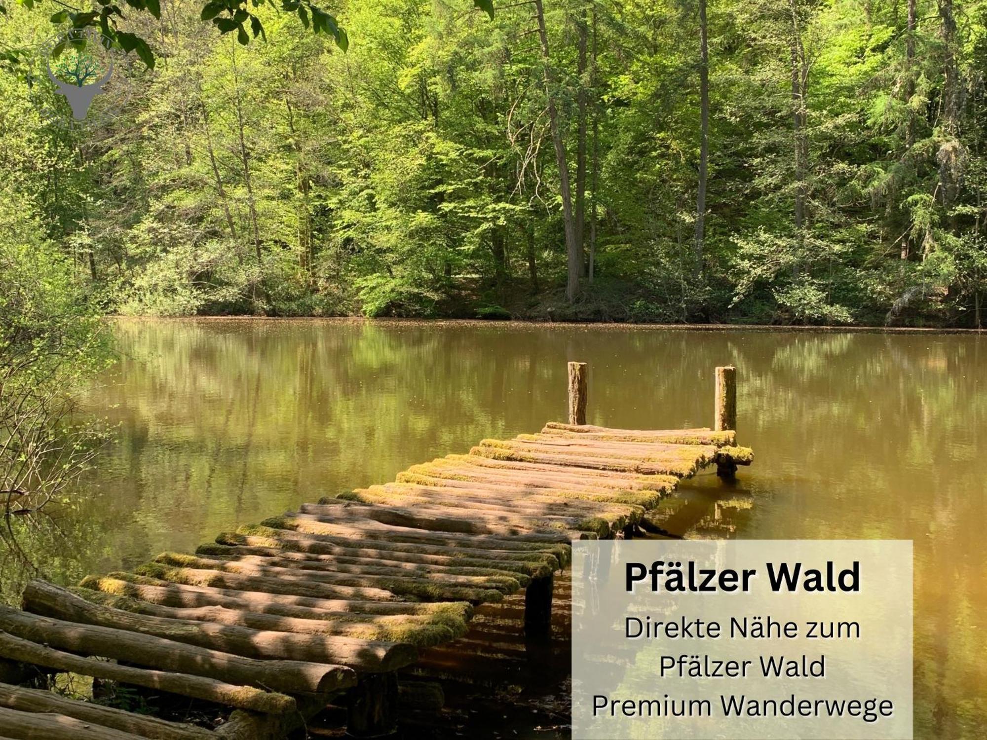 Schuhpartment Am Pfaelzer Wald Naehe Outlet Center Zweibruecken Apartment Pirmasens Luaran gambar